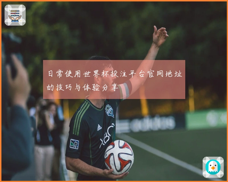 日常使用世界杯投注平台官网地址的技巧与体验分享