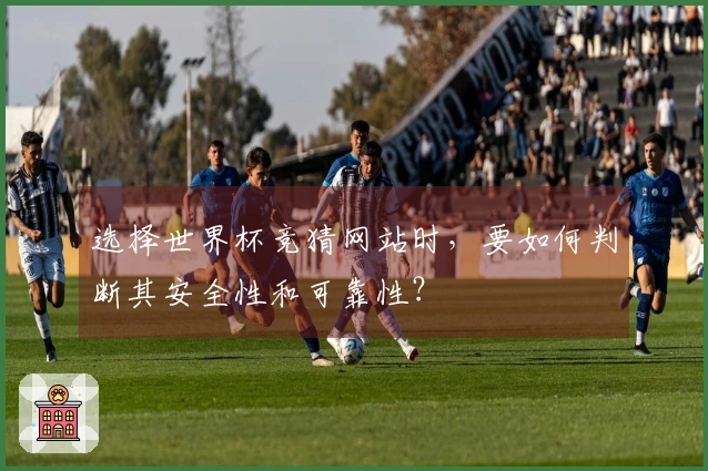 选择世界杯竞猜网站时，要如何判断其安全性和可靠性？