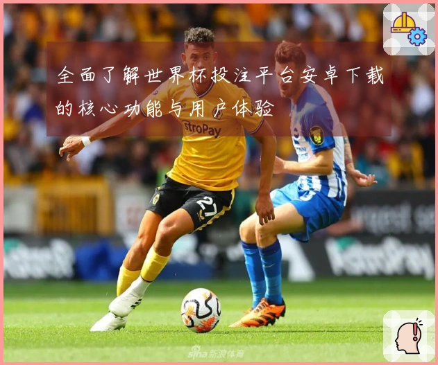 全面了解世界杯投注平台安卓下载的核心功能与用户体验
