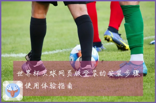 世界杯买球网页版登录的安装步骤及使用体验指南