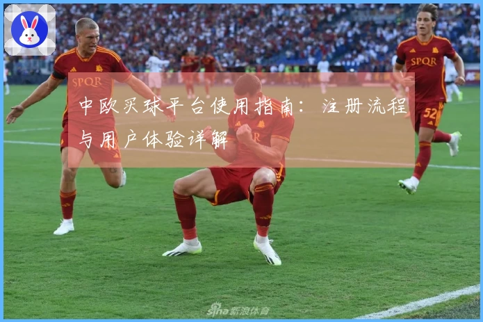 中欧买球平台使用指南：注册流程与用户体验详解