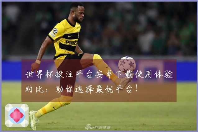 世界杯投注平台安卓下载使用体验对比，助你选择最优平台！