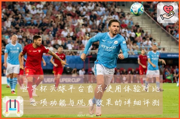 世界杯买球平台首页使用体验对比：各项功能与观看效果的详细评测