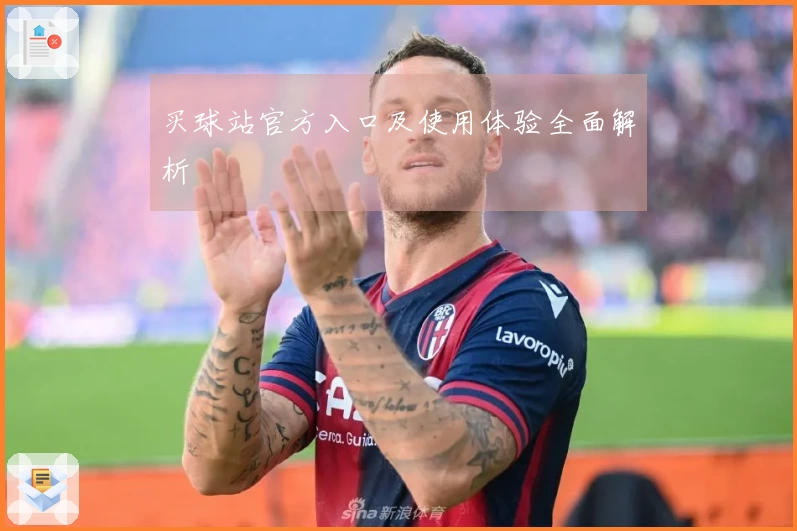 买球站官方入口及使用体验全面解析