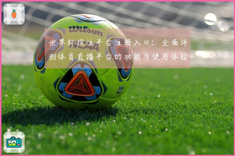 世界杯投注平台注册入口：全面评测体育直播平台的功能与使用体验