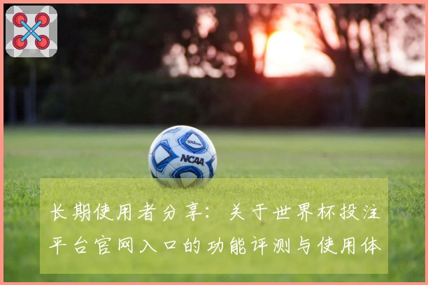 长期使用者分享：关于世界杯投注平台官网入口的功能评测与使用体验总结