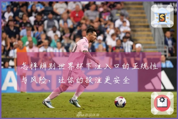 怎样辨别世界杯下注入口的正规性与风险，让你的投注更安全