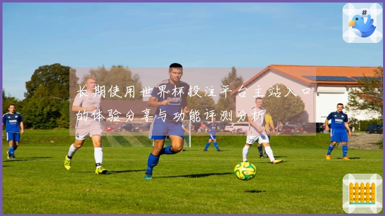 长期使用世界杯投注平台主站入口的体验分享与功能评测分析