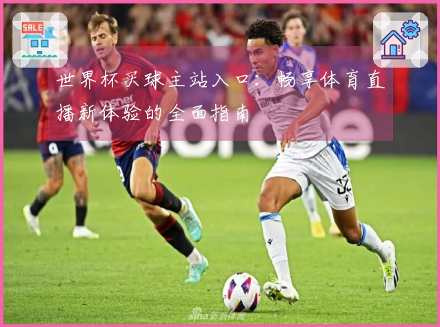 世界杯买球主站入口：畅享体育直播新体验的全面指南