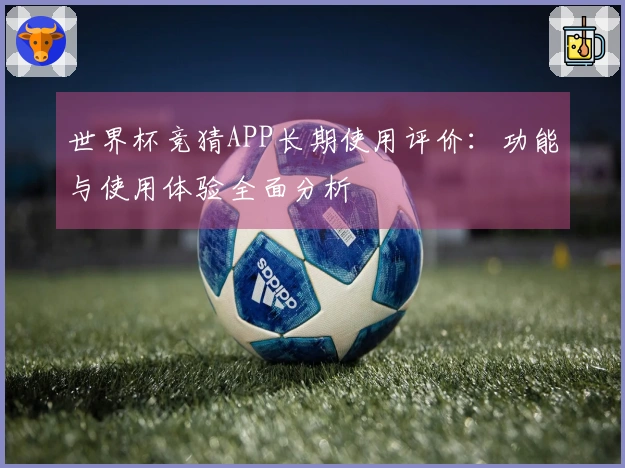 世界杯竞猜APP长期使用评价:功能与使用体验全面分析