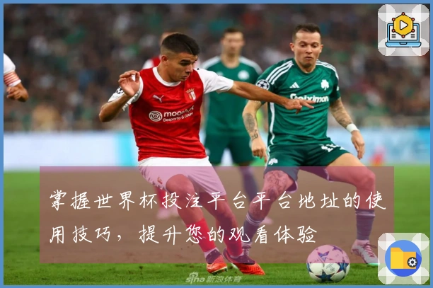 掌握世界杯投注平台平台地址的使用技巧，提升您的观看体验