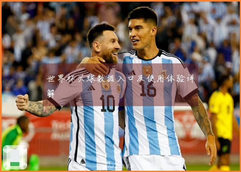 世界杯买球数据入口及使用体验详解