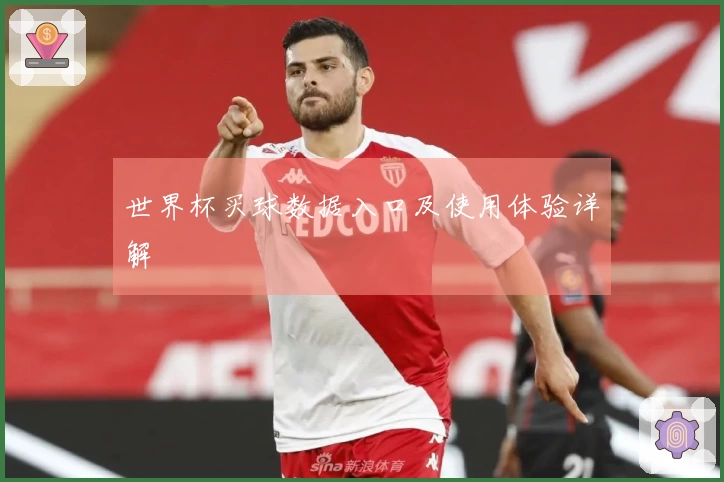 世界杯买球数据入口及使用体验详解