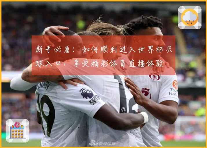 新手必看：如何顺利进入世界杯买球入口，享受精彩体育直播体验